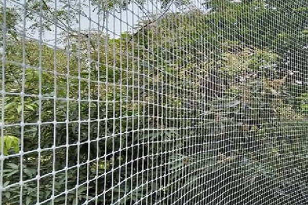 Apartment building balconies suitable for pigeon nets